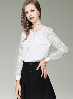 Chic Lace Lantern Sleeve Pullover Blouse