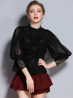 Chic Lace Mesh Lantern Sleeve Pullover Blouse