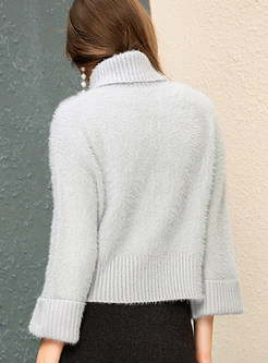 Brief Turtle Neck Pullover Sweater