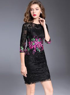Elegant Multicolor Embroidery Lace Bodycon Dress