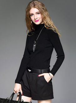 Turtle Neck Long Sleeve Sheath Knitted Sweater