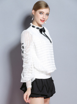 Brief Bowknot Mesh Sleeve Sweater