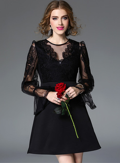 Black Sexy Perspective Lace Perspective A-line Dress