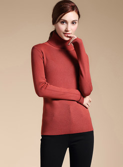 Brief Turtle Neck Long Sleeve Sweater