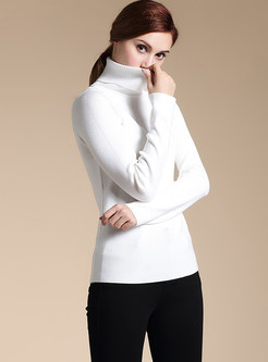 Brief Turtle Neck Long Sleeve Sweater