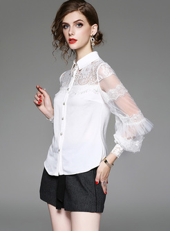 Sexy Lace Perspective Lapel Blouse