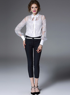 Chic Lantern Sleeve Embroidery Perspective Blouse