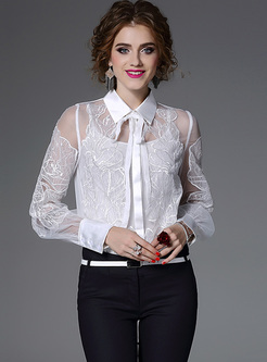 Chic Lantern Sleeve Embroidery Perspective Blouse