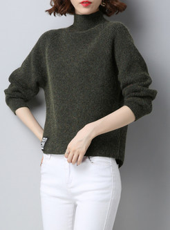 Brief Turtle Neck Knitted Sweater