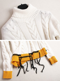 Sweet Contrast Color Turtle Neck Sweater