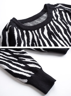 Brief Zebra Print Long Sleeve Sweater
