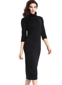 Black Casual Turtle Neck Bodycon Knitted Dress