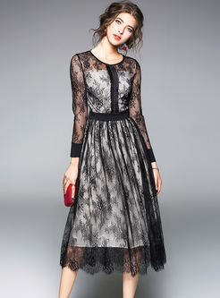Black Lace Transparent Long Sleeve Skater Dress