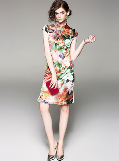 Chic Multicolor Print Improved Cheongsam Dress