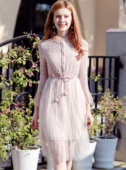Sweet Pink Lapel Lace Mesh Patched A-line Dress
