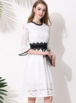 White Elegant Lace Flare Sleeve Skater Dress