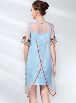 Blue Mesh Embroidery Shift Dress With Underskirt