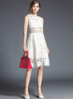 Brief Lace Sleeveless Slim A-line Dress