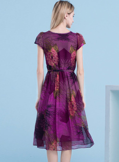 Street Print Mesh Silk A-line Dress
