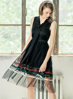 Black V-neck Mesh Sleeveless A-line Dress