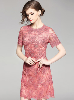 Sexy Lace Embroidered A-line Dress