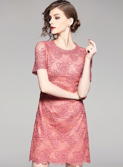 Sexy Lace Embroidered A-line Dress