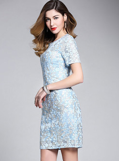 Sexy Lace Embroidered Short Sleeve Bodycon Dress