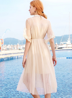 Elegant See Through Pleated Dress