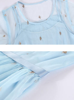 Blue Embroidery Mesh Belt A Line Dress
