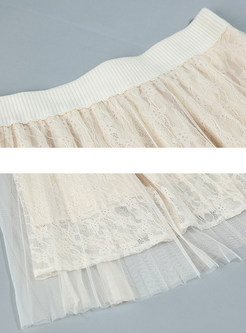 Chic Mesh Lace Pleated Skirt