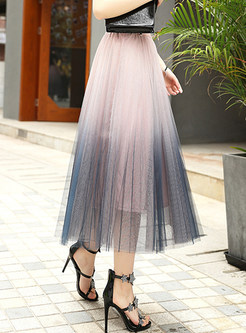 Elegant Gradient Mesh Pleated Skirt