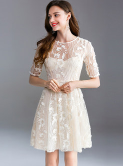 Lace See Through Short Sleeve A Line Dress