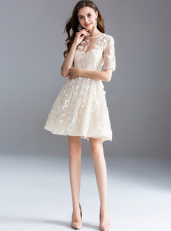 Lace See Through Short Sleeve A Line Dress
