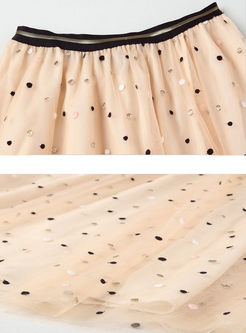 Sweet Embroidered Mesh Dot A Line Skirt 