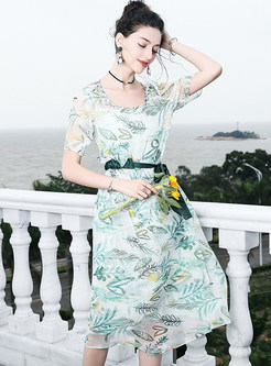 Silk Printing Belted A Line Dress