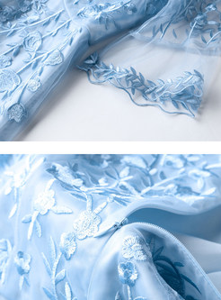 Blue Embroidery Gauze Perspective A Line Dress
