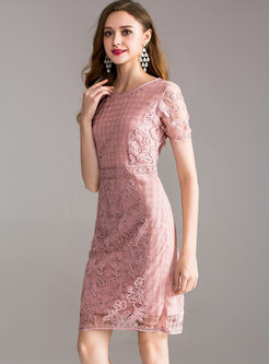 Pink Mesh Embroidery Waist Sheath Dress