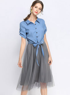 Blue Street Lapel Blouse & Mesh A Line Skirt