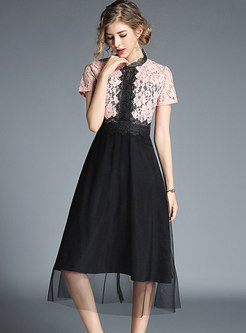 Elegant Lace Contrast Color Mesh Midi Dress