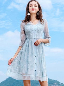 Chic Lace Hollow Out A Line Dress