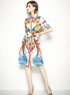 Stylish Turn-down Collar Multi-color print Skater Dress
