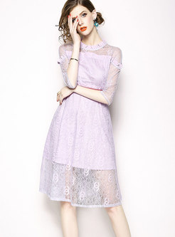 Stylish Lace-Paneled Slim Dress