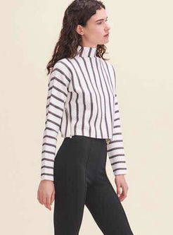 Brief Striped Turtle Collar Knitted Sweater
