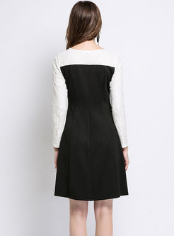 Chic Lace-paneled Button-front Dress