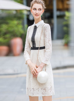 Long Sleeve Hollow Out Lace-paneled Dress