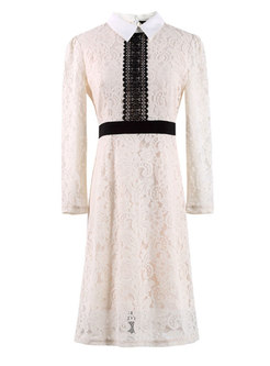 Long Sleeve Hollow Out Lace-paneled Dress