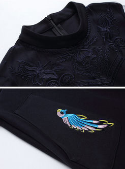 Embroidered Gathered Waist Asymmetric Skater Dress