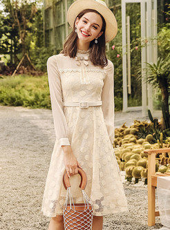 Stylish Standing Collar Hollow Out Lace Dress