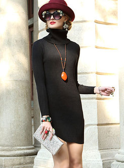 Trendy High Neck Monochrome Skinny Knitted Dress