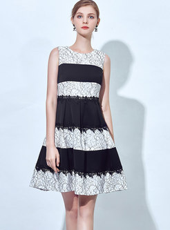 Brief Black-white Paneled Sleeveless Skater Dress